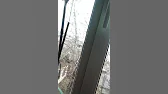 СO 28. Початок кращого