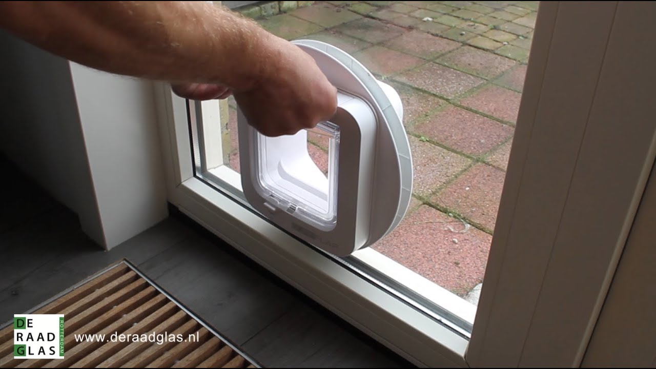 Zeemeeuw Maak plaats Frank De Raad Glas - Kattenluik in glas - YouTube