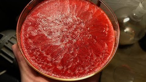 Making more diethyl 2,5-dianilido-3,6-dihydroterephthalate