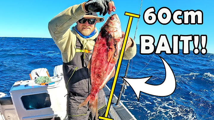 The LAST ROCK! | Dropping the biggest baits we have PAYS OFF, we fished all week for this bite!!!