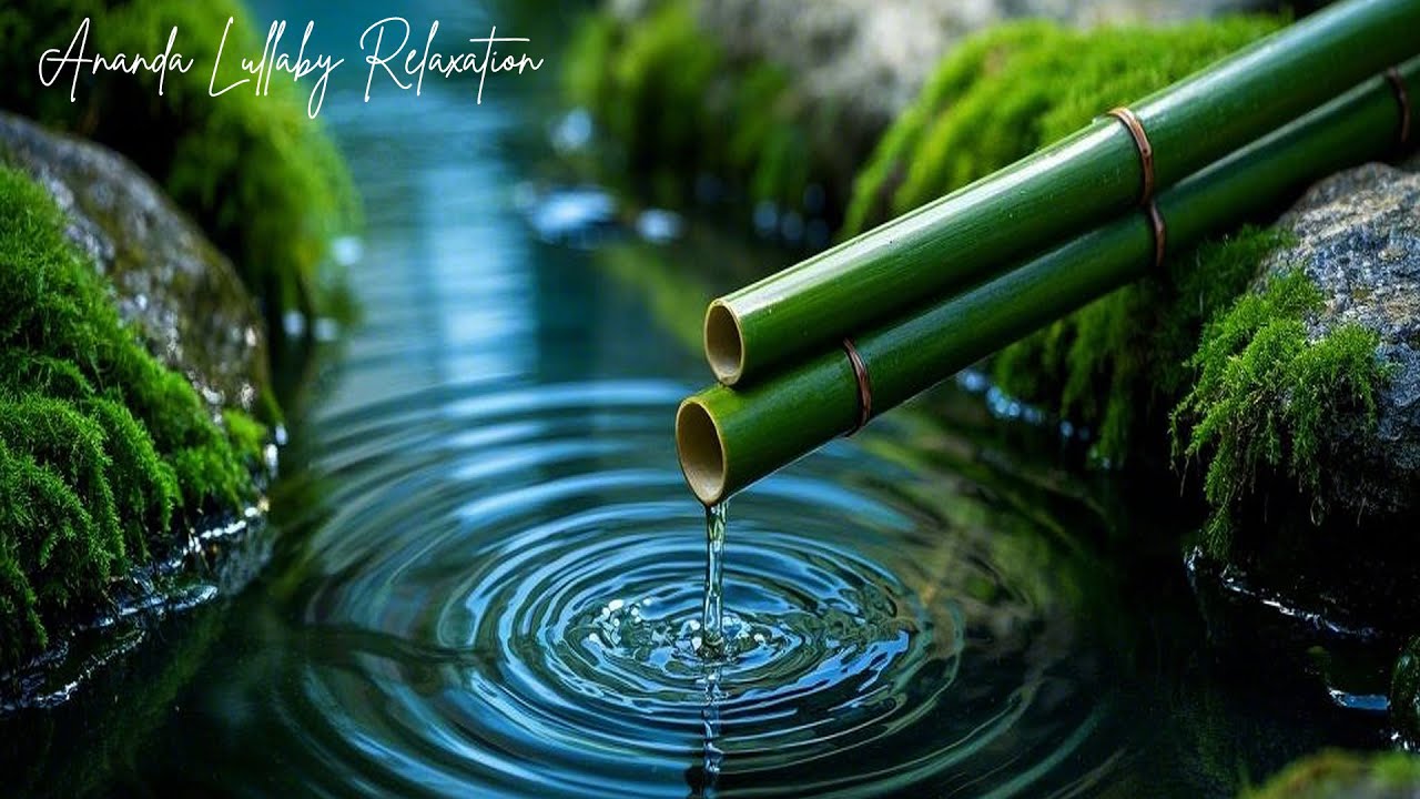 Guarda Relaxing Nature Sounds – Tranquil Forest Ambience for Deep Sleep su YouTube Guarda Relaxing Nature Sounds – Tranquil Forest Ambience for Deep Sleep su YouTube