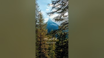 سورة الناس مكررة / بصوت القارئ أحمد العجمي
