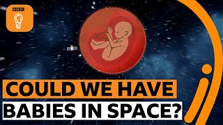 Can humans reproduce in space? | BBC Ideas