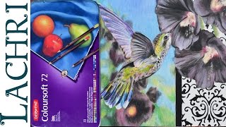 Rob's Art Supply Reviews: Derwent Coloursoft colored pencils