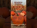 🌴 Top Things to Do in Palm Beach This Weekend October 11-13, 2024! 🌴