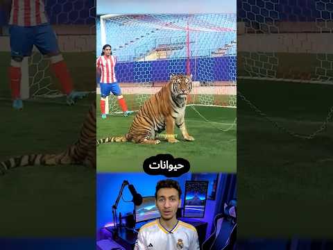 حيوانات مفترسة نزلت الملعب وعطلت المباراة
