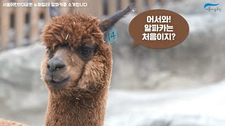 서울시설공단 별별소리 Vol.25썸네일