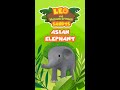 Asian elephant  leo the wildlife ranger  shorts