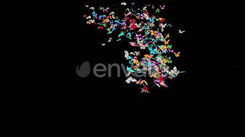 Butterfly 4K | Motion Graphics - Envato elements