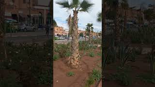 أماكن راقية في مراكش
