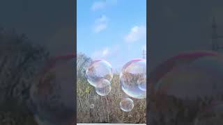 Рязанская область🎼
