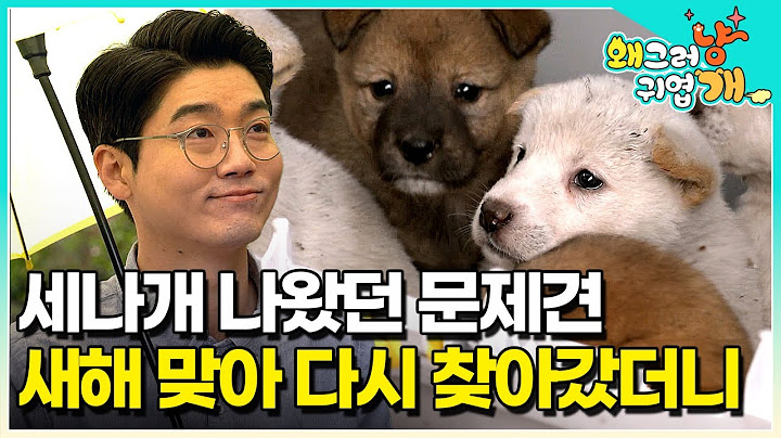 #댓글이벤트 🎉세나개 신년특집🎉 막장 견생을 살다가 설쌤과 세나개를 만나고 180도 바뀐 반려견들! 방송 출연 후 잘 지내고 있을까?│#왜그러냥귀엽개