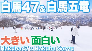 【白馬47・白馬五竜】今まで行かなかったのが不思議なビッグゲレンデ＆白馬の夜Hakuba47 and Hakuba Goryu.  Big ski resorts in Nagano,Japan