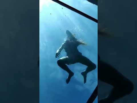 Под водой - YouTube