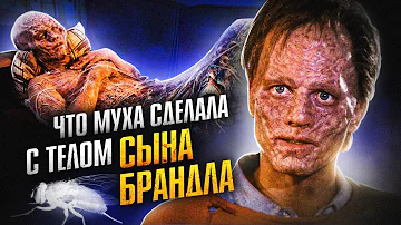 Что МУХА сделала с телом сына Брандла