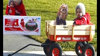 Build a homemade kids pull wagon Kids Vlog Toddler riding toy wagon Leo with her mother unboxing, compiles and rides on the trolley Dragon Wagon with them faithful dog Darling. This video will love