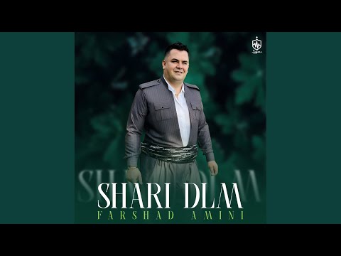 Rafiqy Gyani Ba Gyani 