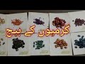 Sammer seeds of vegetables