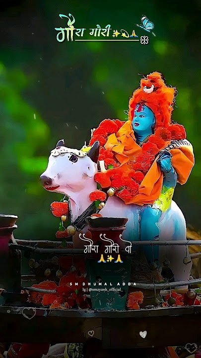 gaura Gauri🙏 |  गौरी गौरा गीत gauri gaura geet | Aaru sahu | miss geetanjli sahu diwali coming soon