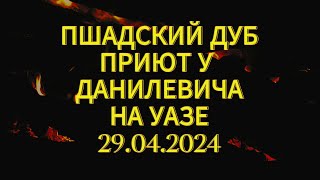 Джиппинг и пластилиновые тачки! ПШАДСКИЙ дуб, Новосадовый, Данилевич, 520, Новый, на УАЗе 29.04.24