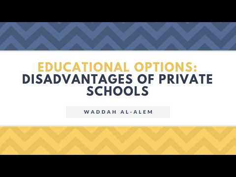 Educational Options: Disadvantages of Private Schools