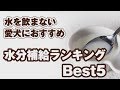 水を飲まない愛犬におすすめ！水分補給ランキング