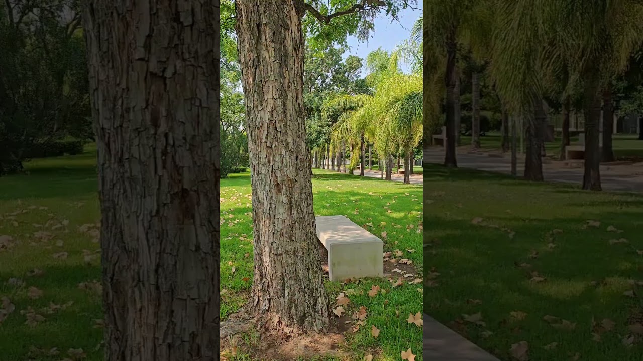 In Between Days (The Cure). cover by "a china girl"