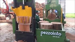 VSP 60.60 firewood combined machine for large diameter logs processing