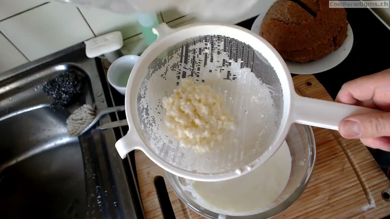 🥛Grains Probiotiques de Kéfir de lait  : Contexte+Recette Facile ! 1 clic vous abonner gratuitement