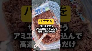 魚が釣れすぎるバナナがバチキソえぐい　#shorts #short
