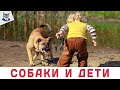 СОБАКА И ДЕТИ ОСНОВНЫЕ ПРАВИЛА | ЧТО НУЖНО ЗНАТЬ