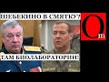 Белгородский фронт трещит по швам. Шебекино стонет от обстрелов. Гладков ржет над жителями региона