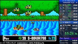 【実況】スーパーワギャンランド KAMISAMAコース Any%RTA 1:53:35【Former WR】