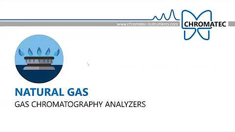 Natural Gas Analyzer
