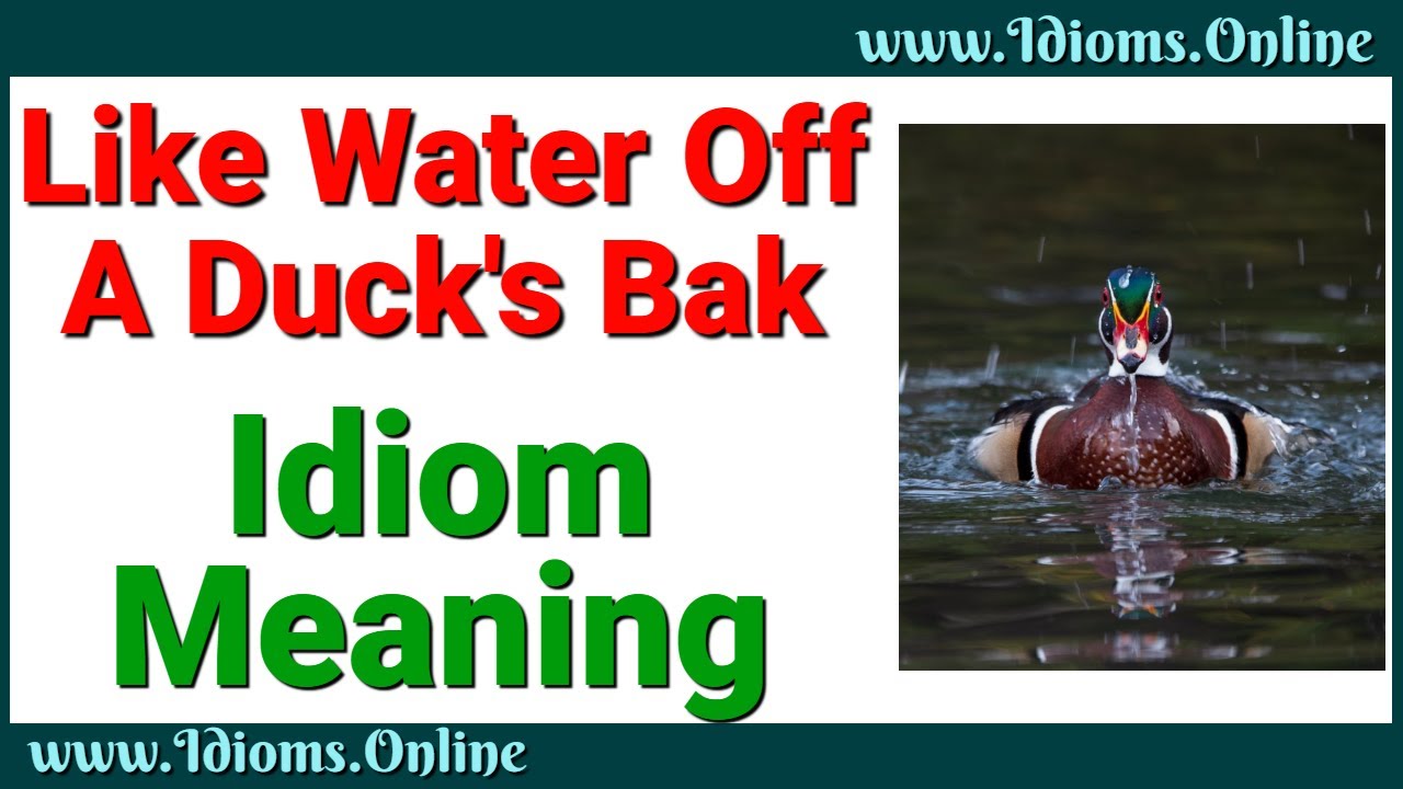 Like Water Off A Duck S Back Idiom Meaning Youtube