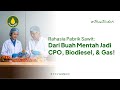 ✨ Rahasia Pabrik Sawit: Dari Buah Mentah Jadi CPO, Biodiesel, & Gas! 🌳⛽