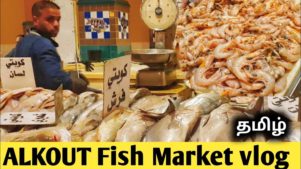 Kuwait Famous Fhaheel Fish Market Shopping 🛍 Vlog TRAVEL PAIYAN YouTube