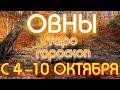 ГОРОСКОП ОВНЫ С 04 ПО 10 ОКТЯБРЯ НА НЕДЕЛЮ. 2021 ГОД