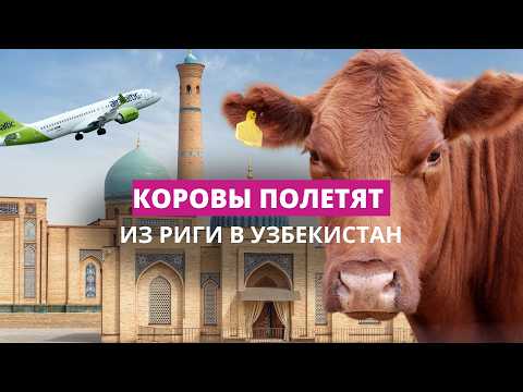 Впервые в Балтии: экспорт самолетами