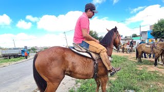 FEIRA DE CAVALOS DE BELO JARDIM PE, SEGUNDA FEIRA 08/05/2023