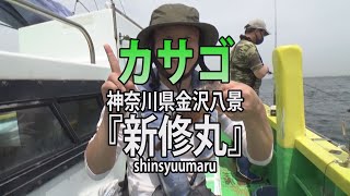 新修丸・神奈川県金沢八景「お手軽に楽しむ！カサゴ釣り」