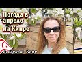 Какая погода в апреле на Кипре?