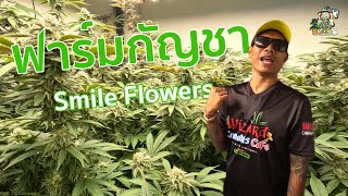 แนะนำGrower EP.3 Smile Flowers