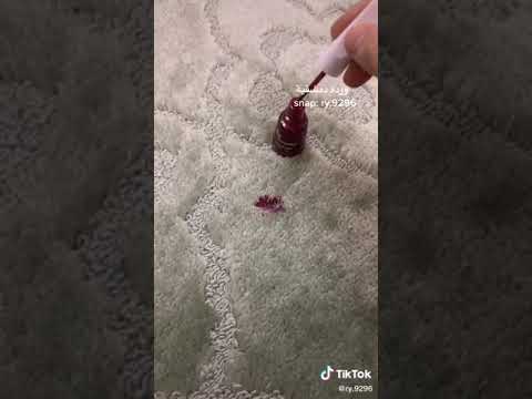 فيديو: كيفية التخلص من الصراصير في شقتك: 13 خطوة (بالصور)