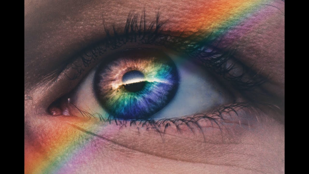 The Colours of Life