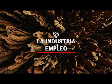 ¿Qué Significa El Porcentaje De Empleo En La Industria?