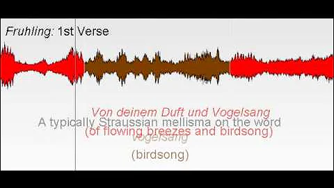 Strauss: Fruhling from The Four Last Songs for Soprano and Orchestra