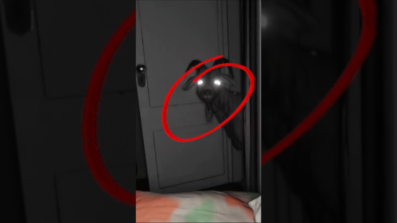 There's a scary goat in your house. 