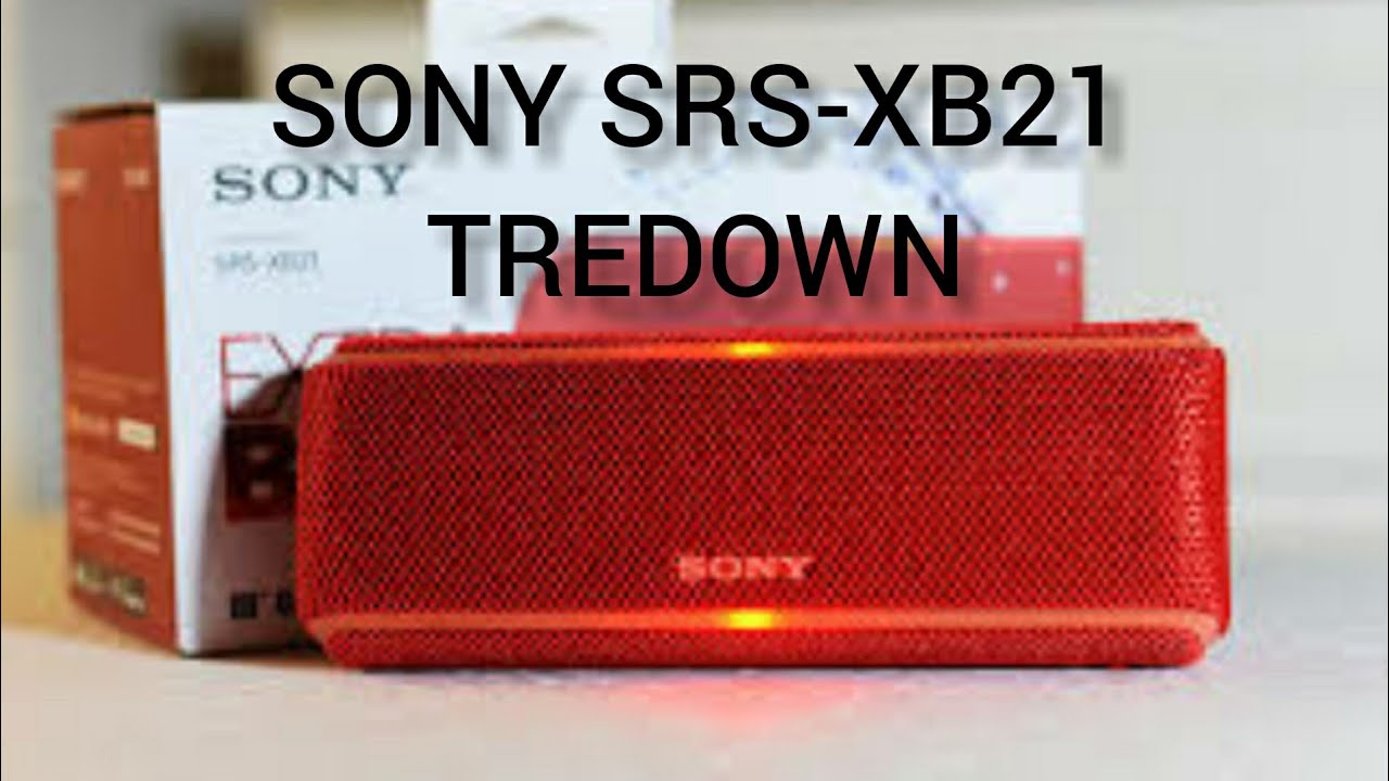 Wireless Portable Speaker With Lights, SRS-XB21