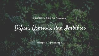 Praktikum Fisiologi Tanaman (Difusi, Osmosis dan Imbibisi)